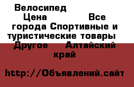 Велосипед Viva Castle › Цена ­ 14 000 - Все города Спортивные и туристические товары » Другое   . Алтайский край